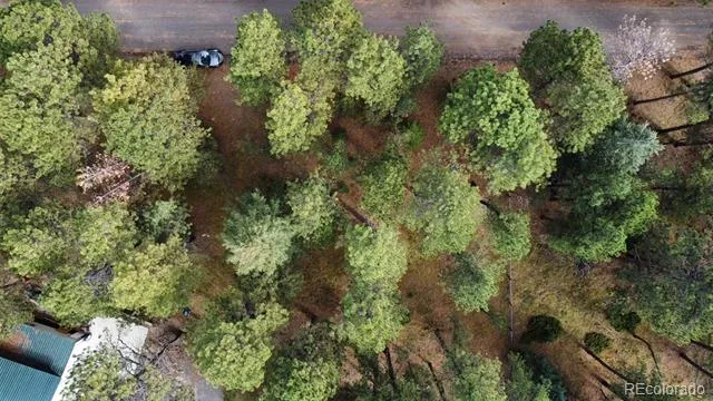 26698 De Berry Street Conifer, CO 80433