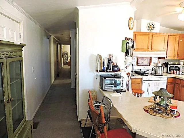 8611 Cortez Road Blanca, CO 81123