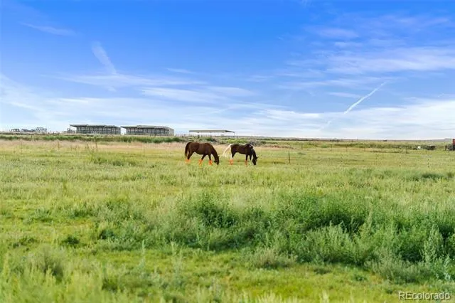25101 County Road 38 La Salle, CO 80645