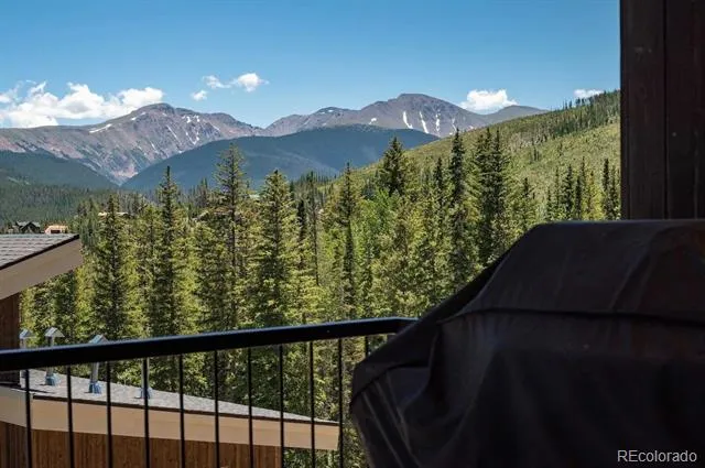 387 Bear Trail Winter Park, CO 80482