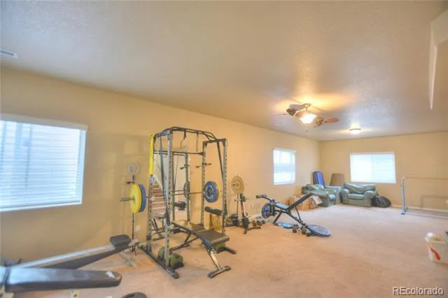 735 Woodmoor Acres Drive Monument, CO 80132