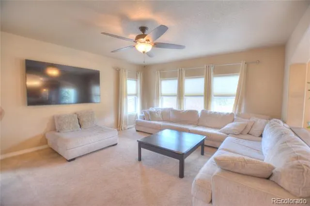 735 Woodmoor Acres Drive Monument, CO 80132