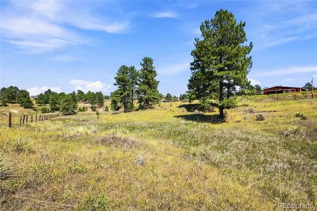 10461 Black Forest Drive Parker, CO 80138