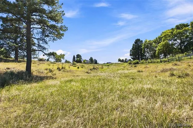 10461 Black Forest Drive Parker, CO 80138