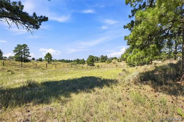 10461 Black Forest Drive Parker, CO 80138