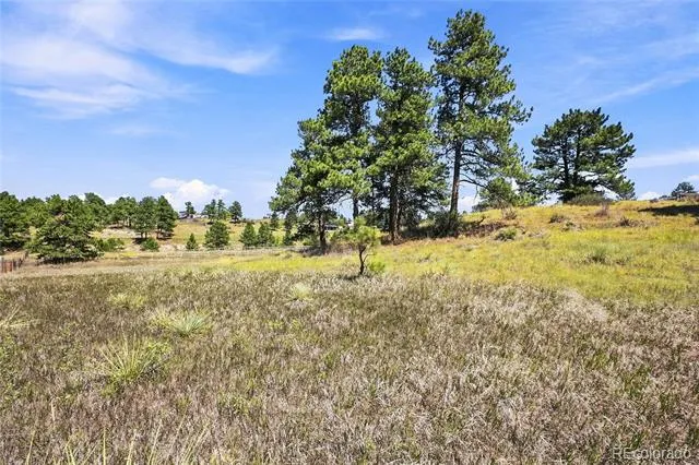 10461 Black Forest Drive Parker, CO 80138