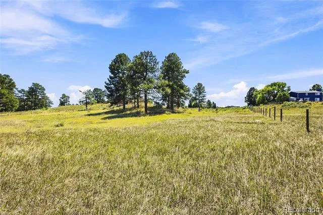 10461 Black Forest Drive Parker, CO 80138