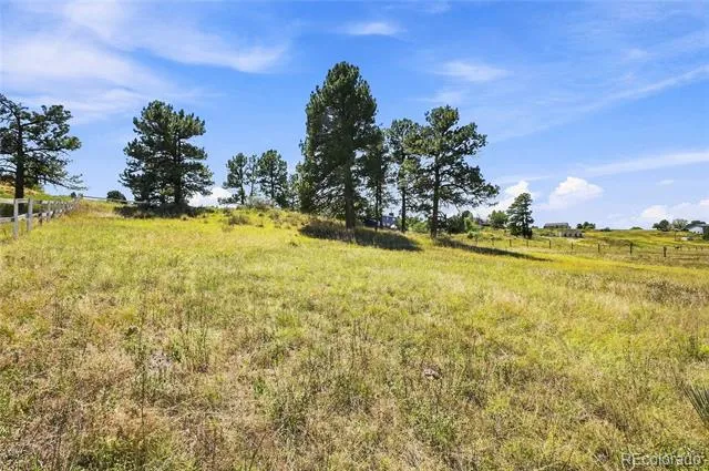 10461 Black Forest Drive Parker, CO 80138