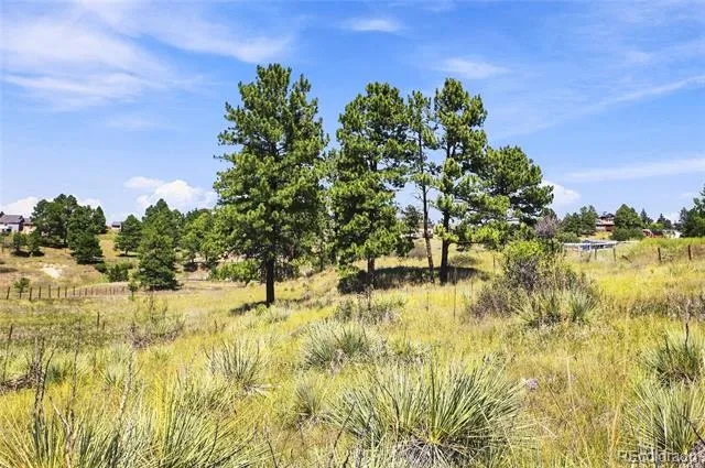 10461 Black Forest Drive Parker, CO 80138