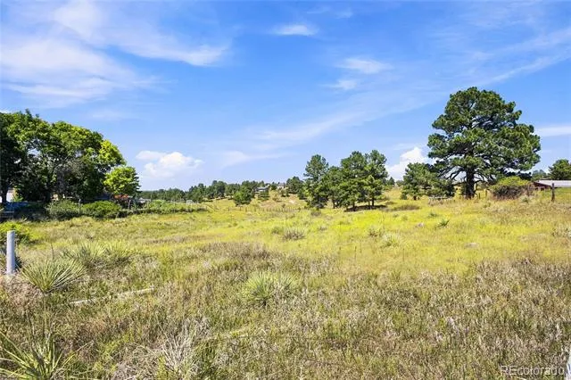 10461 Black Forest Drive Parker, CO 80138