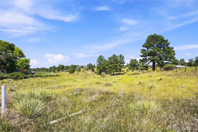 10461 Black Forest Drive Parker, CO 80138