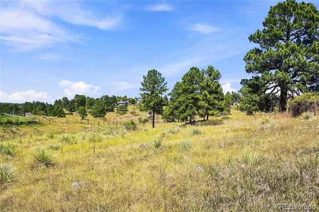 10461 Black Forest Drive Parker, CO 80138