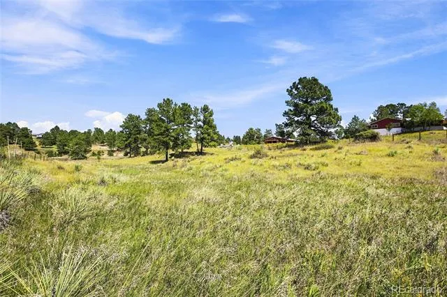 10461 Black Forest Drive Parker, CO 80138