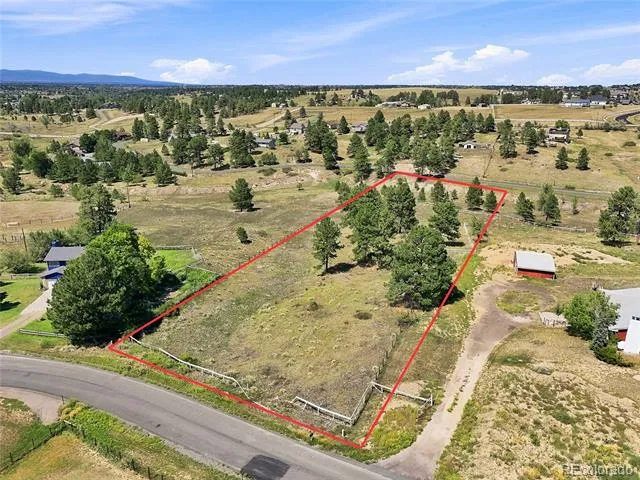 10461 Black Forest Drive Parker, CO 80138