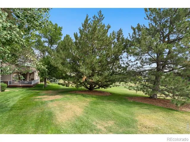 7320 Tamarisk Drive Fort Collins, CO 80528