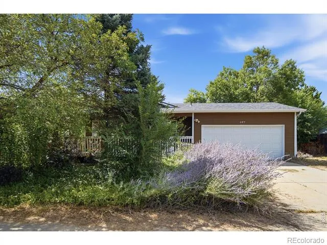 347 Walnut Drive Frederick, CO 80530