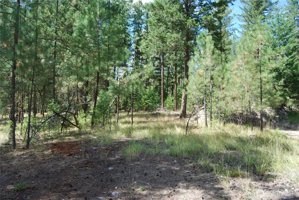 31 Summit Lake Rd Tonasket, WA 98855