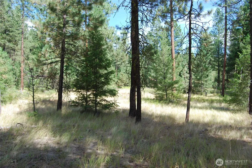 31 Summit Lake Rd Tonasket, WA 98855