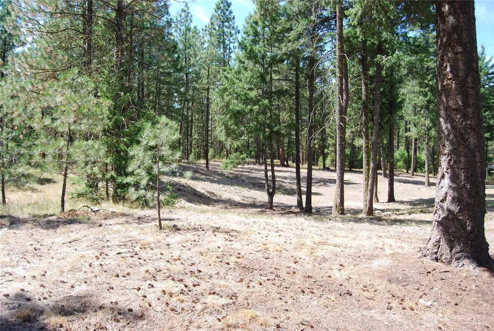 31 Summit Lake Rd Tonasket, WA 98855