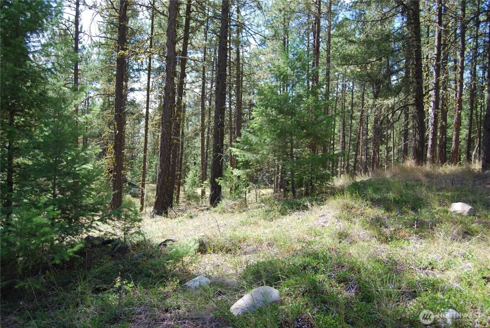 31 Summit Lake Rd Tonasket, WA 98855