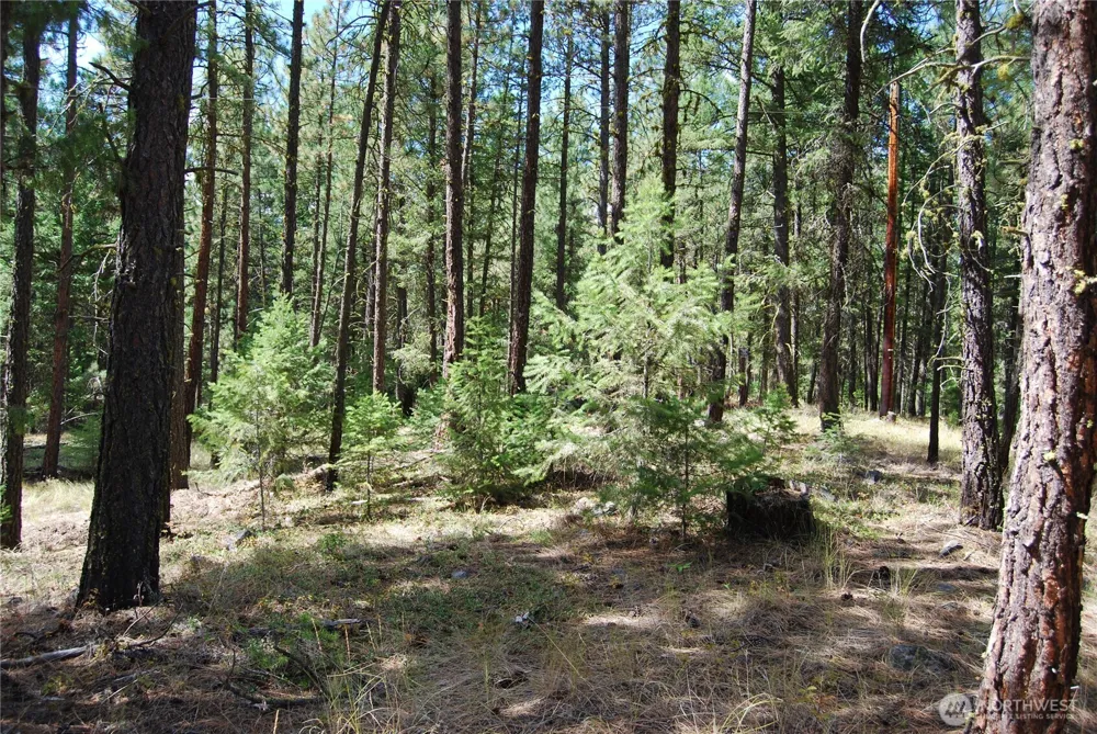31 Summit Lake Rd Tonasket, WA 98855