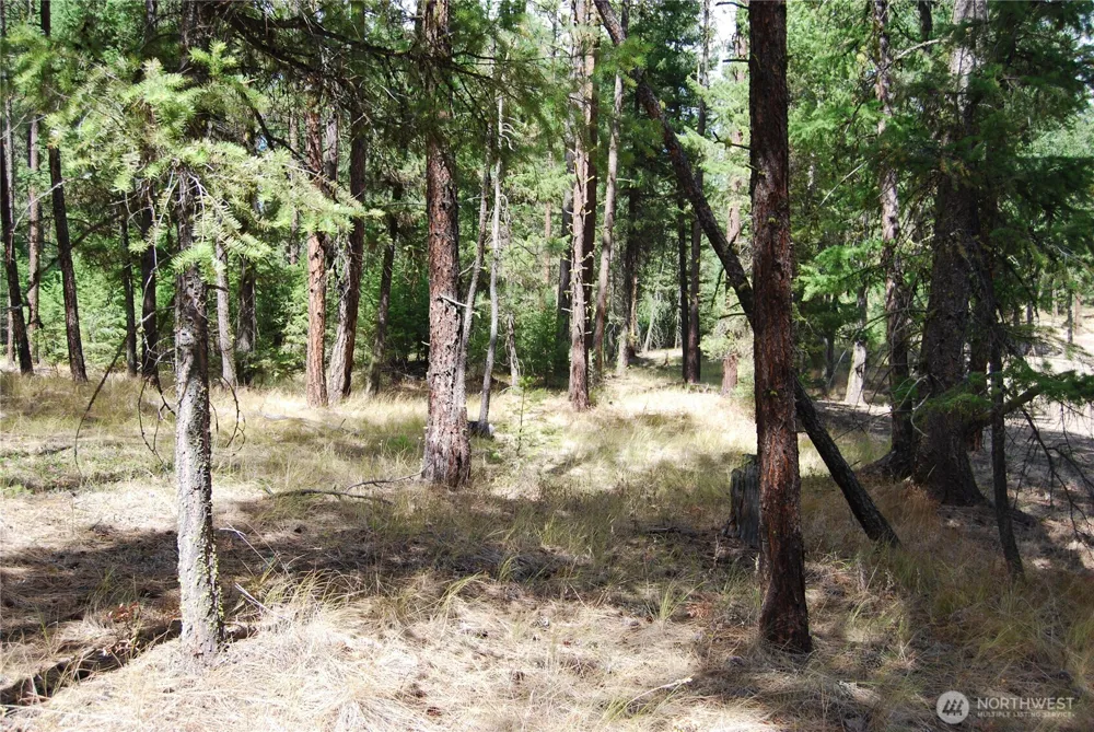31 Summit Lake Rd Tonasket, WA 98855