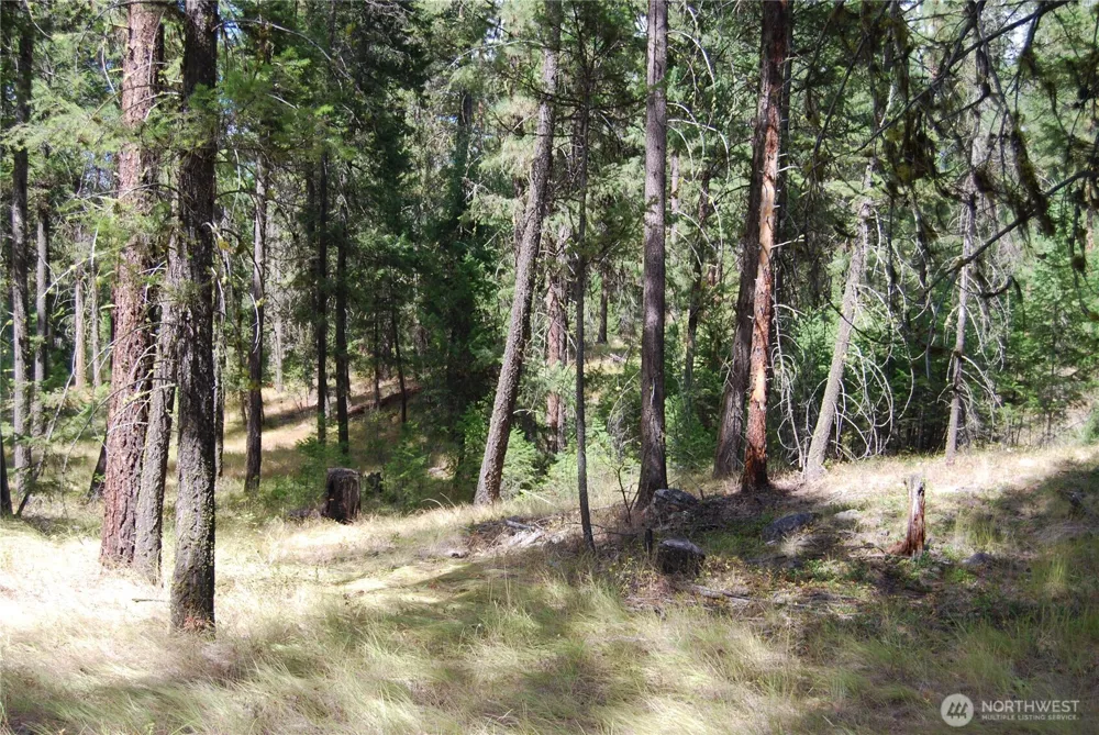 31 Summit Lake Rd Tonasket, WA 98855