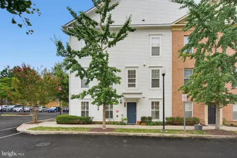 3927 OLD DOMINION BOULEVARD