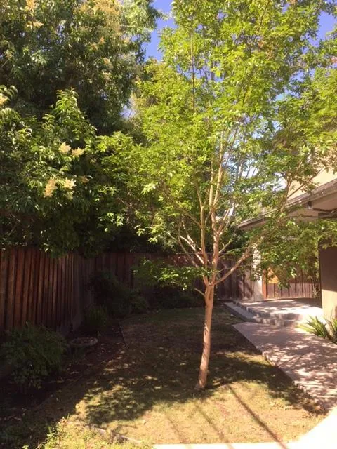 3735 Redwood Circle Palo Alto, CA 94306