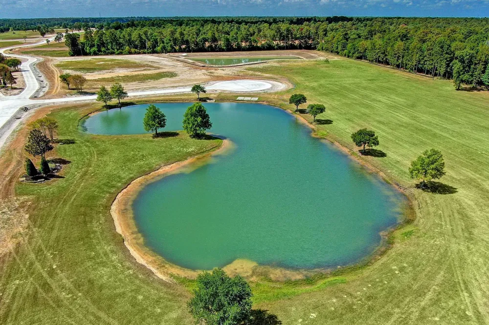 2418 Emerie Arbor Lane Hockley, TX 77447