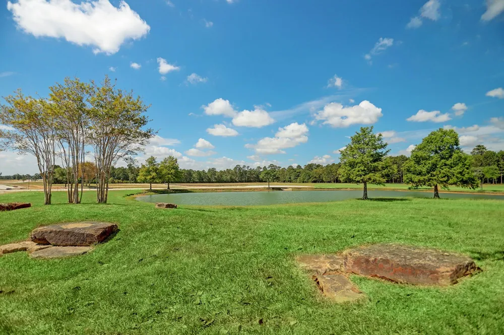 2418 Emerie Arbor Lane Hockley, TX 77447