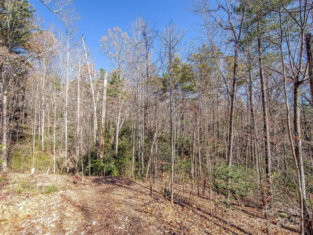 36 Slide Rock Way Fairview, NC 28730