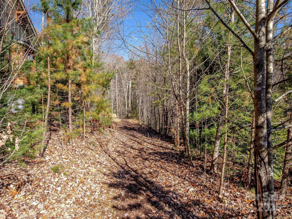 36 Slide Rock Way Fairview, NC 28730