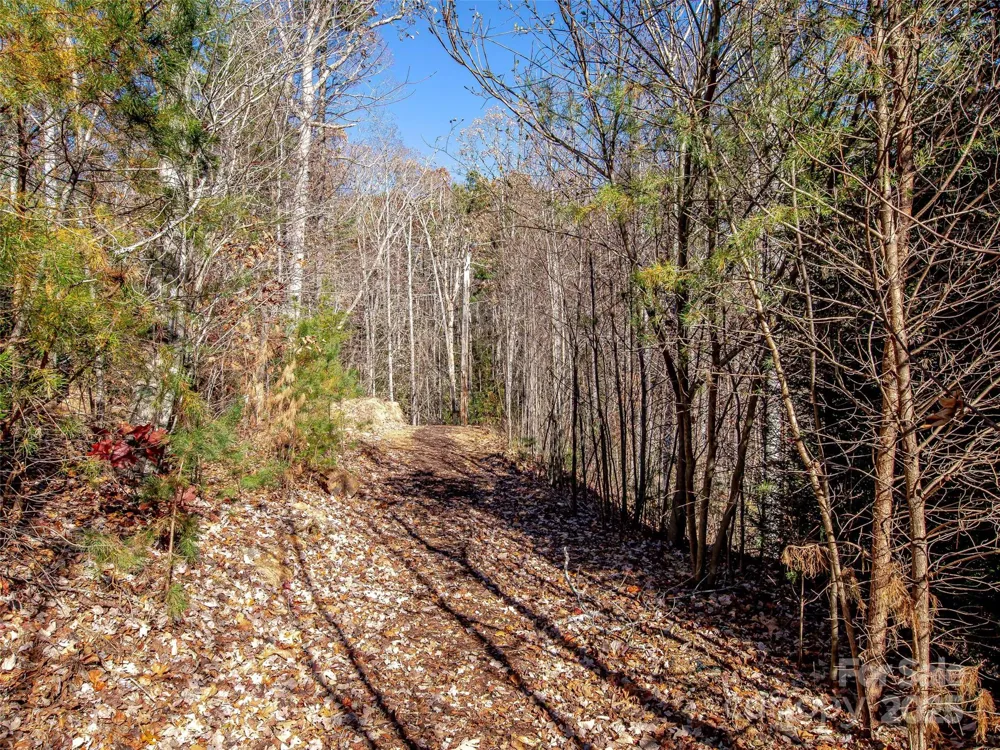 36 Slide Rock Way Fairview, NC 28730