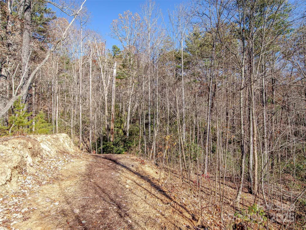 36 Slide Rock Way Fairview, NC 28730