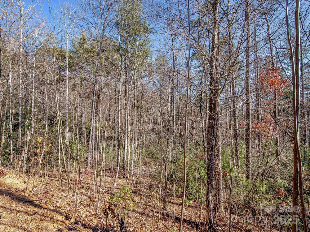 36 Slide Rock Way Fairview, NC 28730