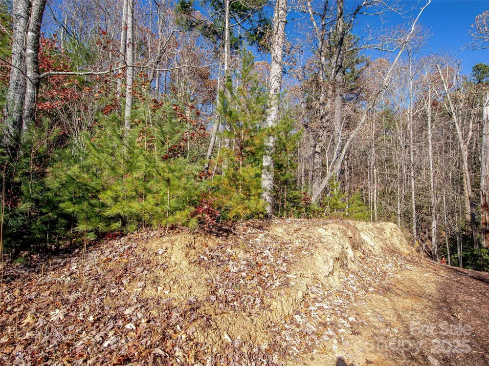 36 Slide Rock Way Fairview, NC 28730