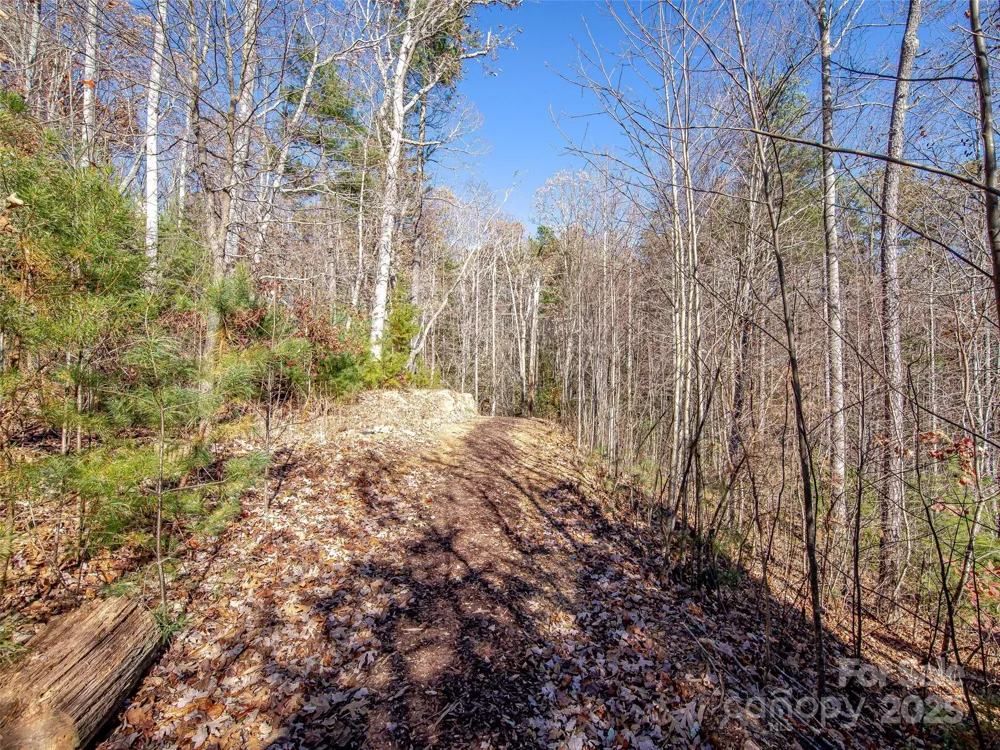 36 Slide Rock Way Fairview, NC 28730