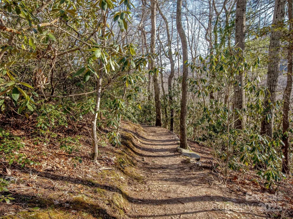 36 Slide Rock Way Fairview, NC 28730