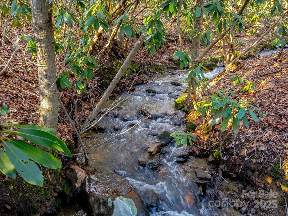 36 Slide Rock Way Fairview, NC 28730