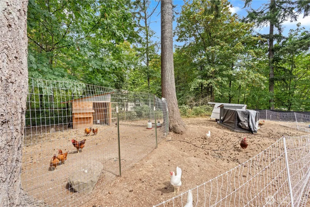 444 143rd Avenue SE Tenino, WA 98589