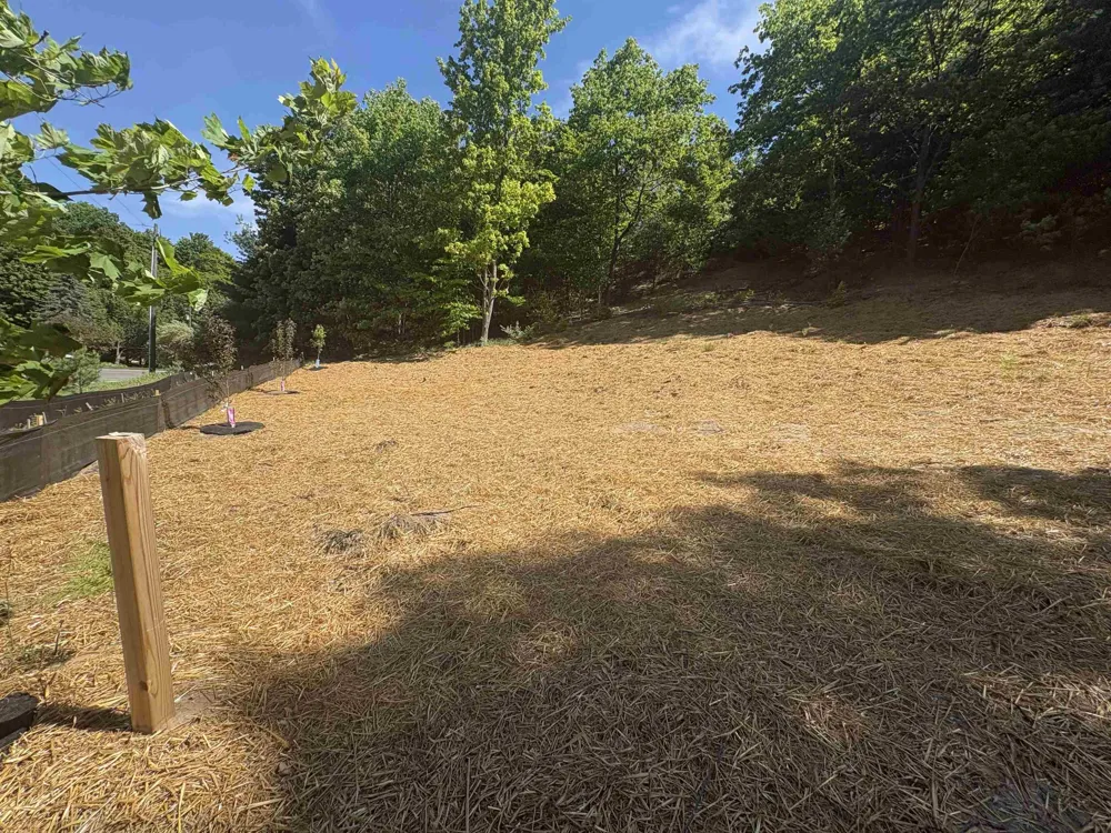 E Hoxie Road Elmwood Charter Township, MI 49621
