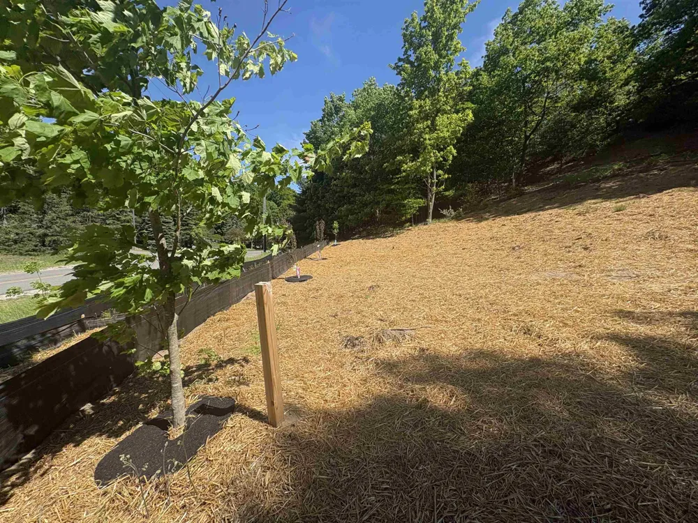E Hoxie Road Elmwood Charter Township, MI 49621