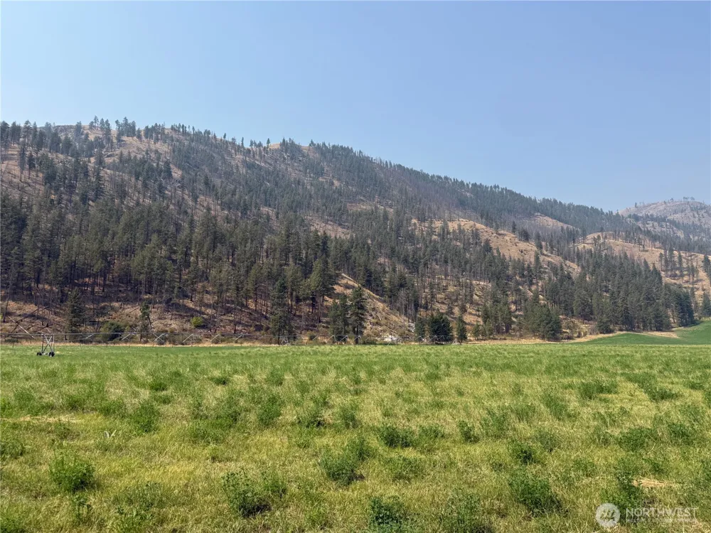 0 SR-153 Carlton, WA 98814