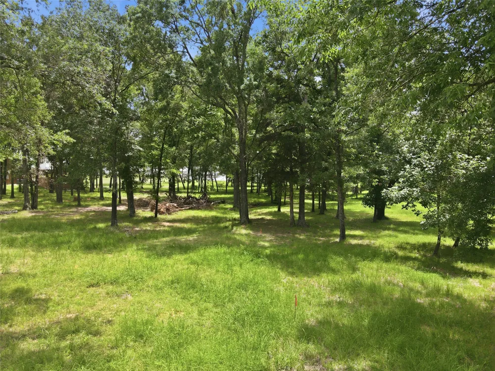 RS County Road 3500 Emory, TX 75440