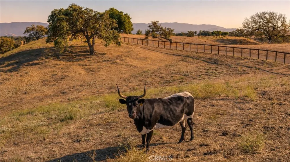 3110 Acampo Los Olivos, CA 93441