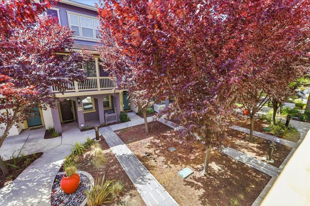 133 Incense Terrace Sunnyvale, CA 94086