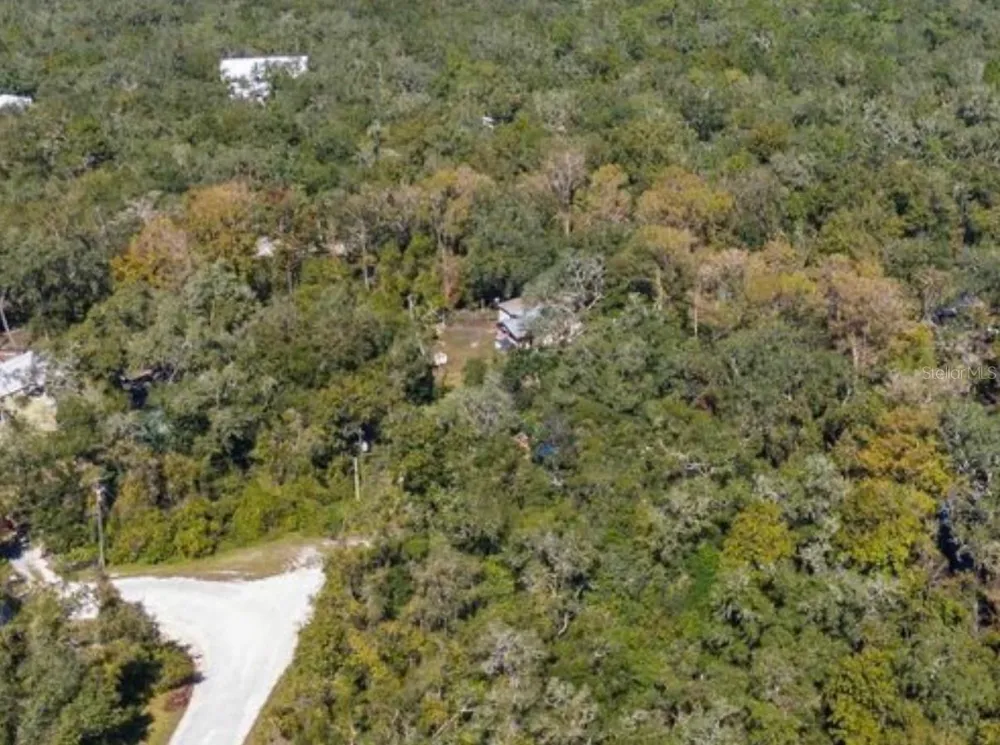 9347 RIVER ROCK DRIVE Webster, FL 33597