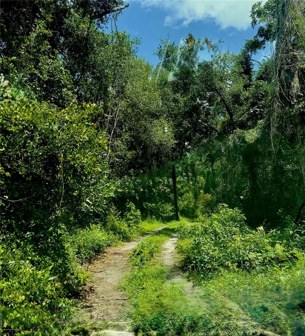 9347 RIVER ROCK DRIVE Webster, FL 33597