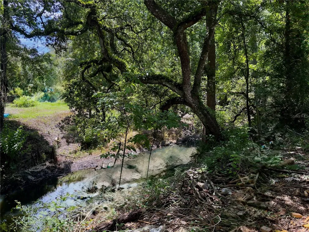 9347 RIVER ROCK DRIVE Webster, FL 33597